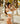 KOA BIKINI BOTTOM - PEARL