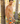 Pattern Mens Swimwear 5 inch Swim Short Summer Spring Fashion